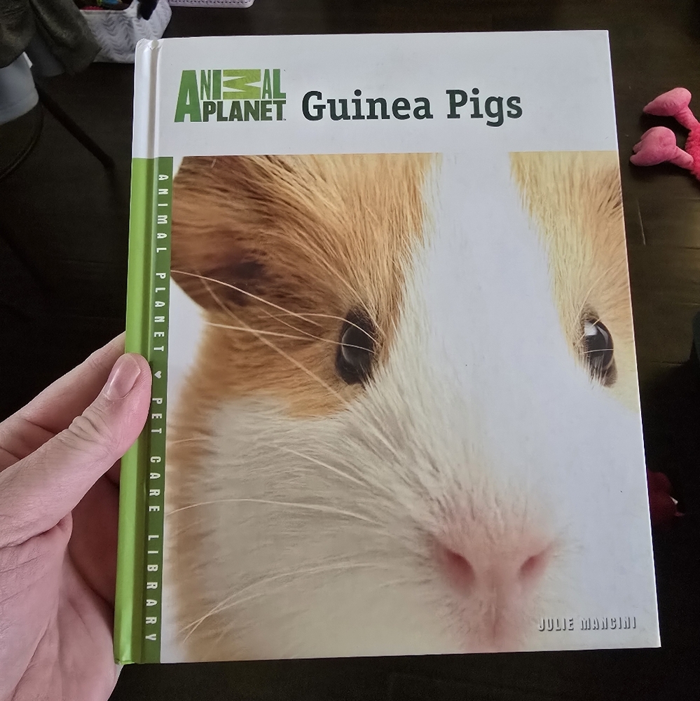 Guinea Pig Care Book